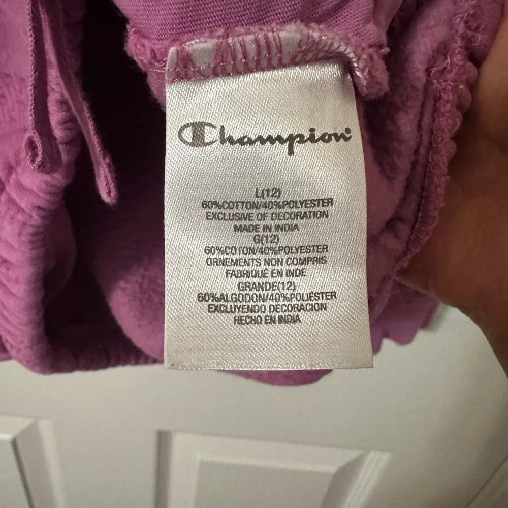 2 PIECE SET Champion Kids  Pink Sweatpants And Sweater